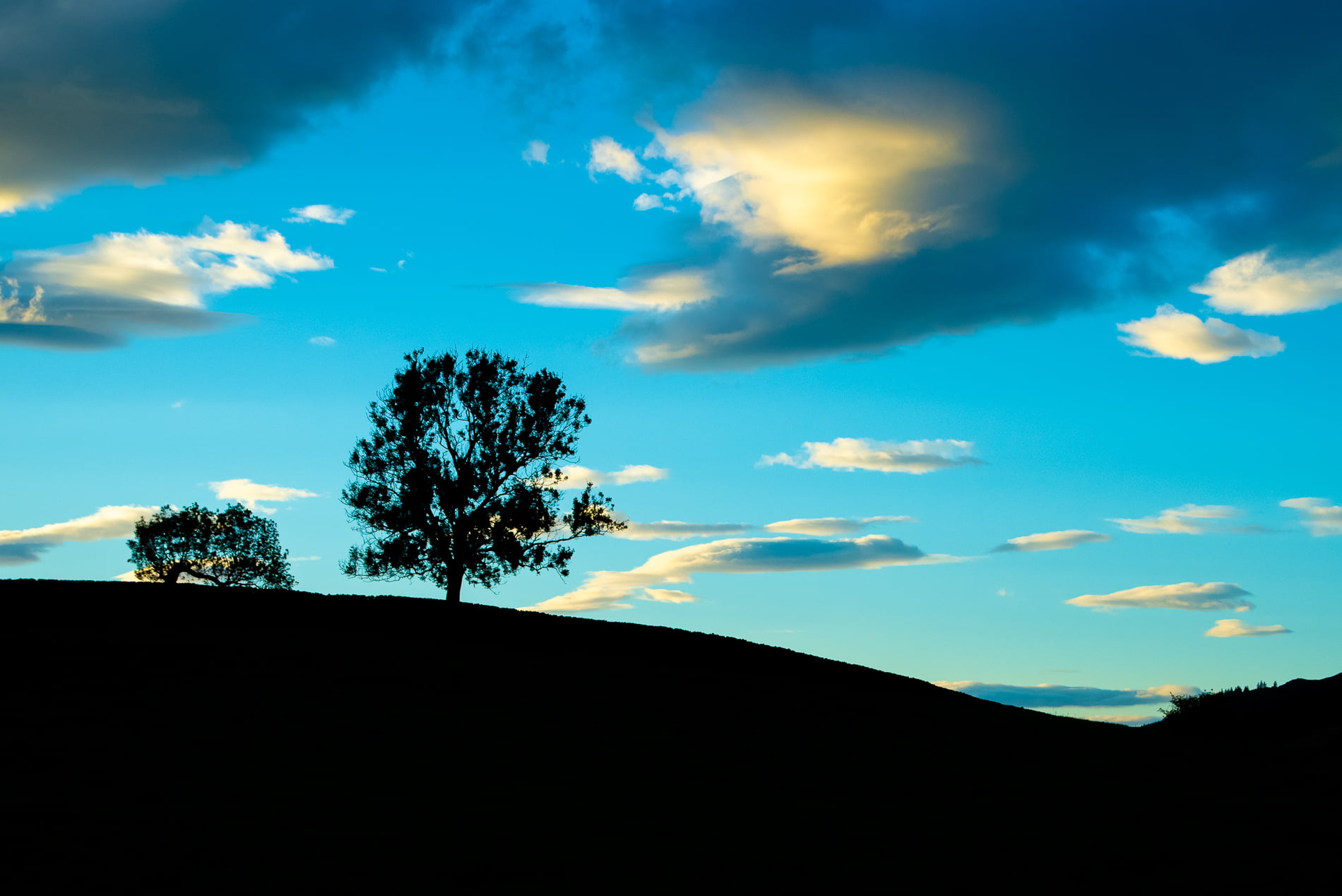 118702223_3262758693845633_6350003189467230098_n