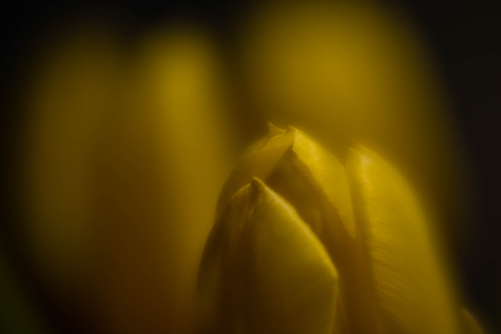 154570662_10222243192981620_1555037817238857073_n