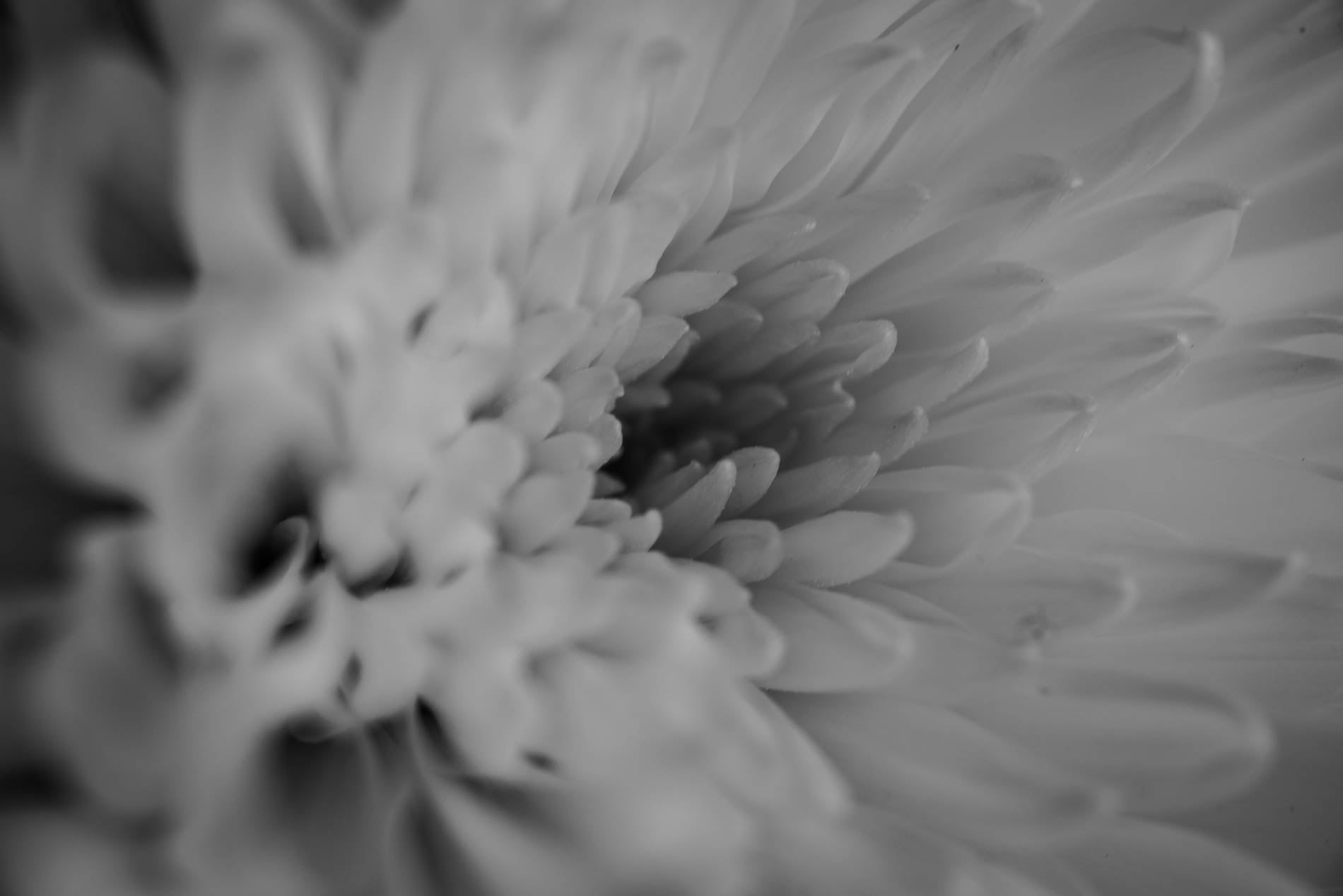 166792115_10222448526234823_6478539500170372304_n