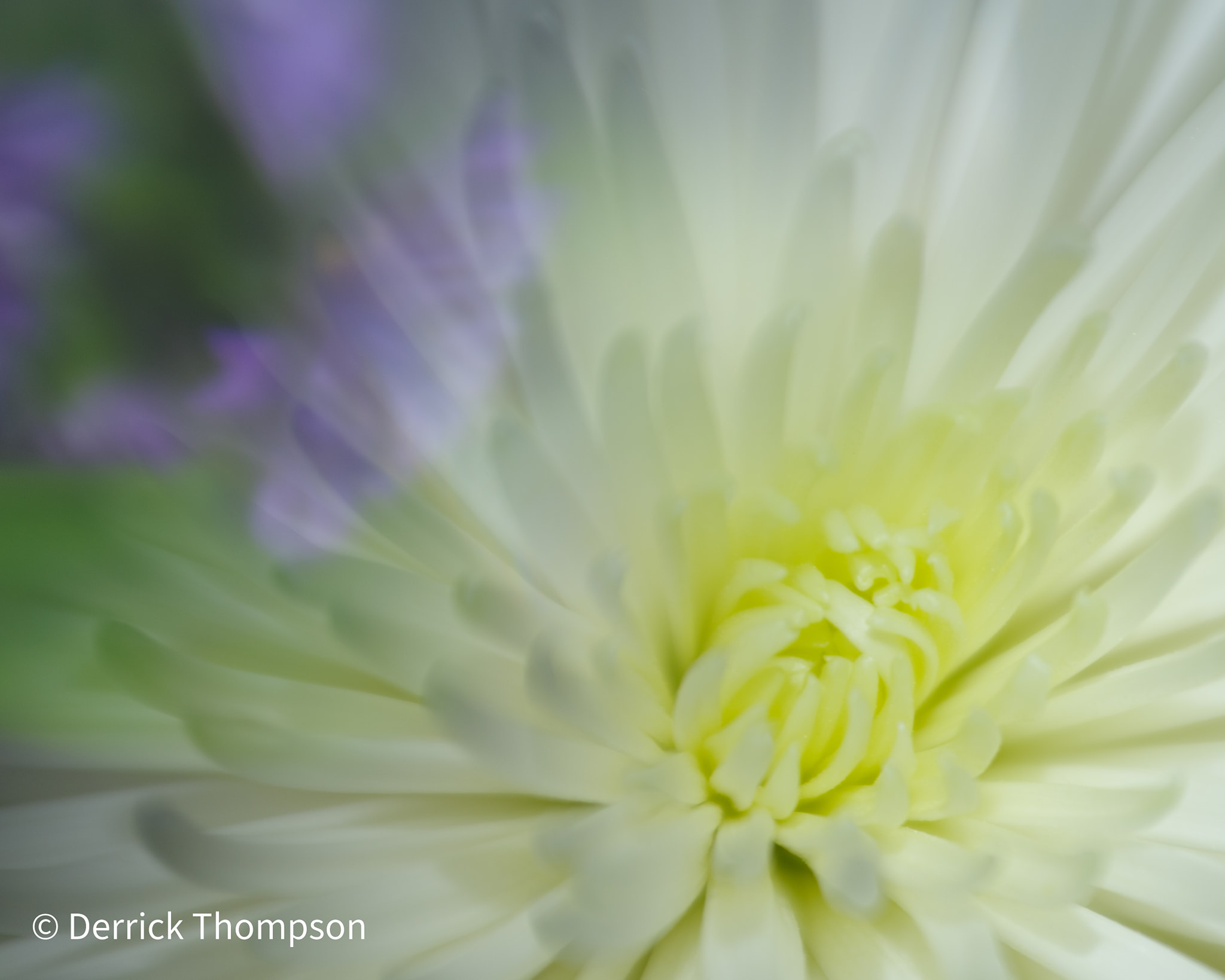 168096164_10222462194976533_2721234658451517336_n