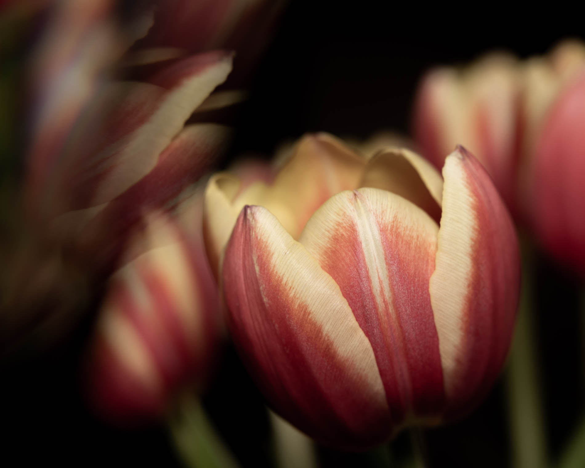 174522552_10222559275843494_9166000408544412668_n