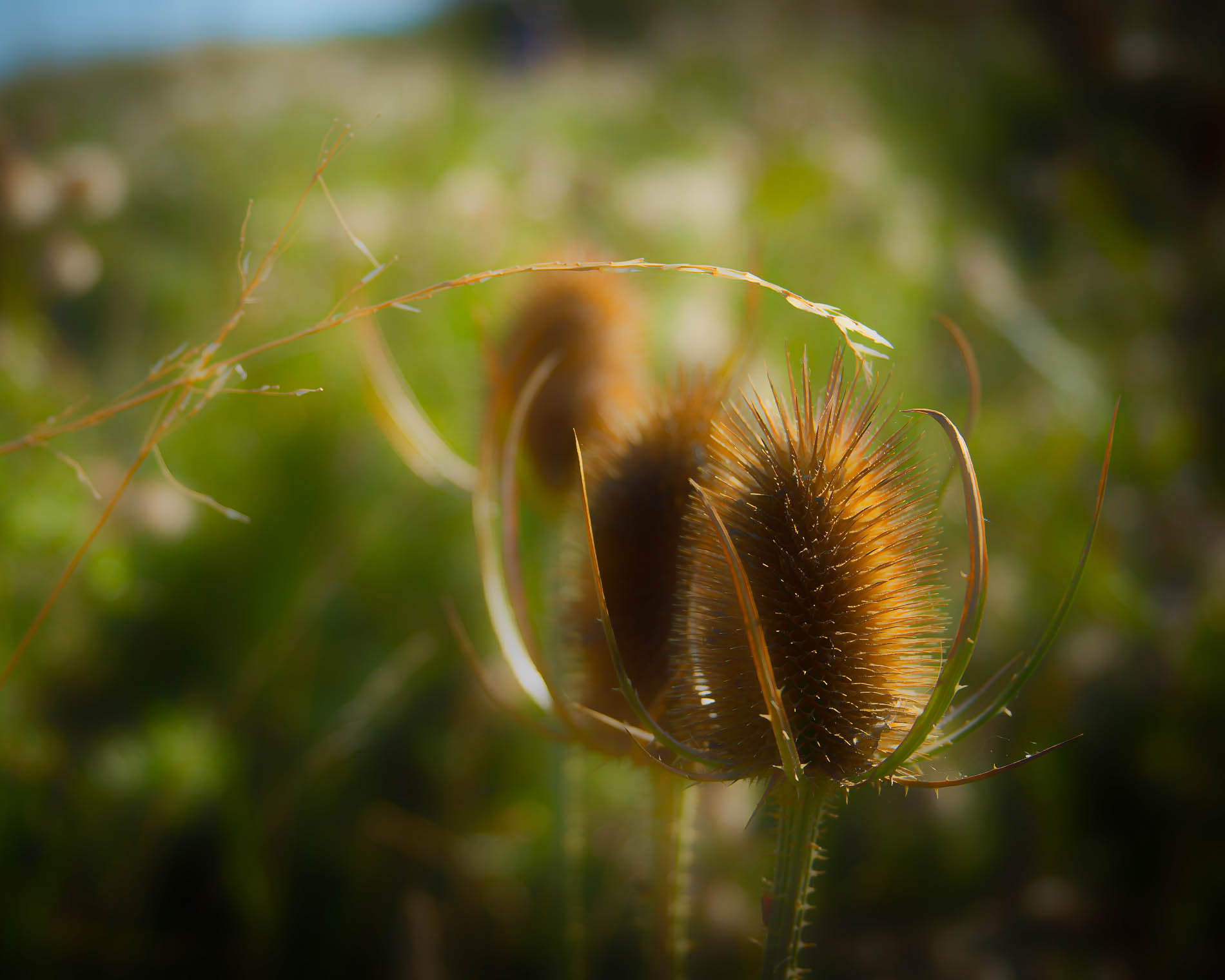 475899311_10231340564290217_421889751195276673_n