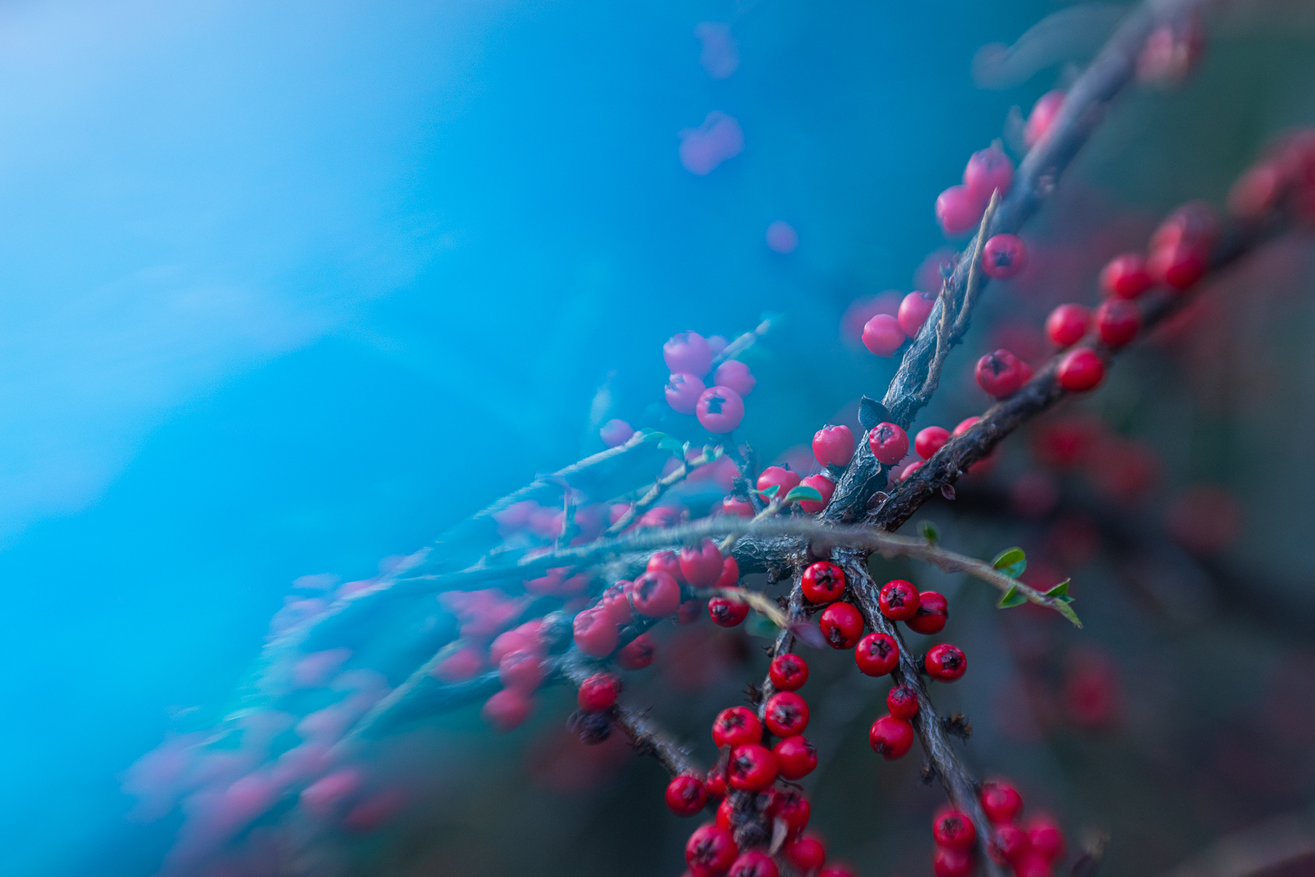 503869529_10232761805780366_6420665684380061172_n