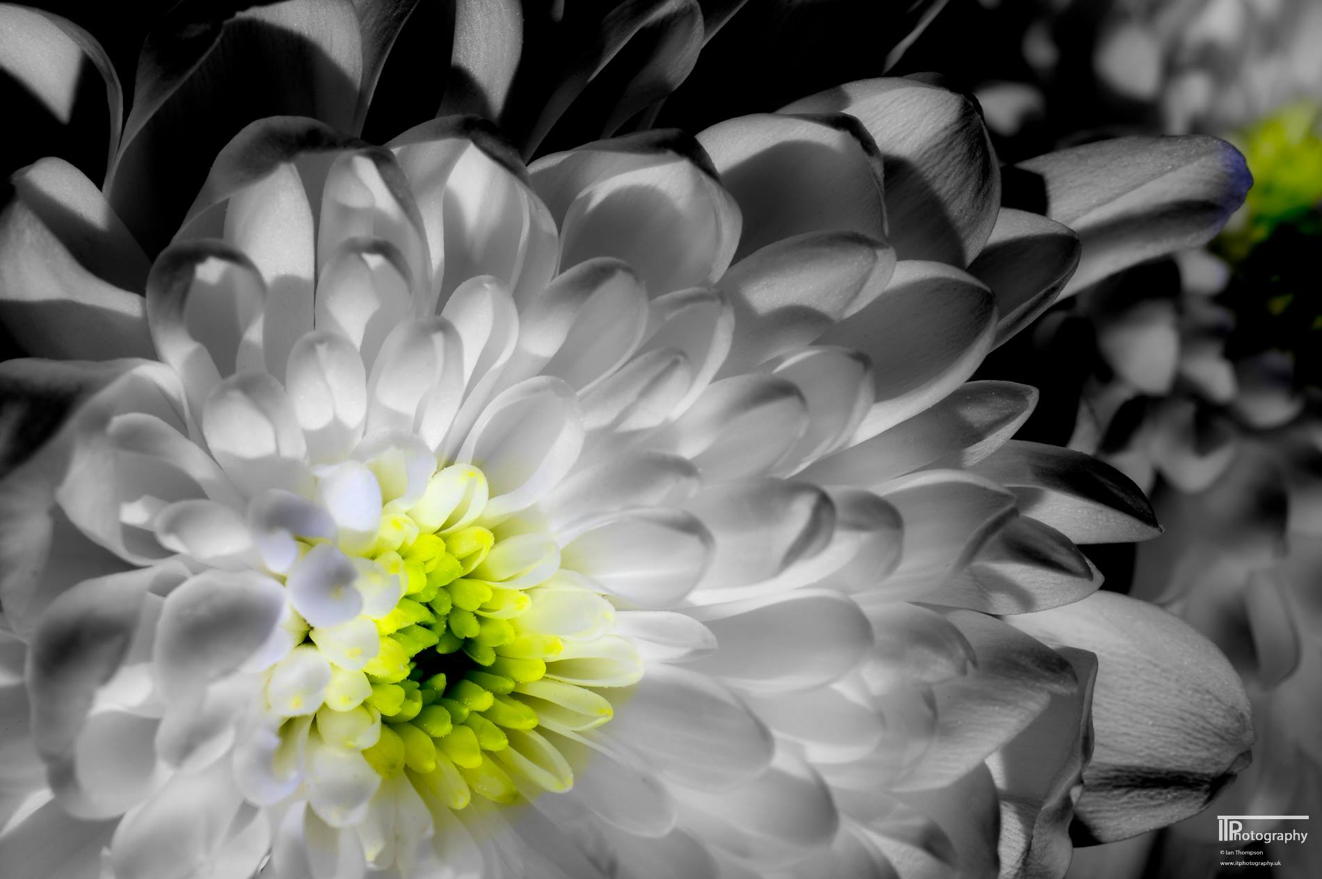 508014853_9948392295282206_6141286328952670700_n