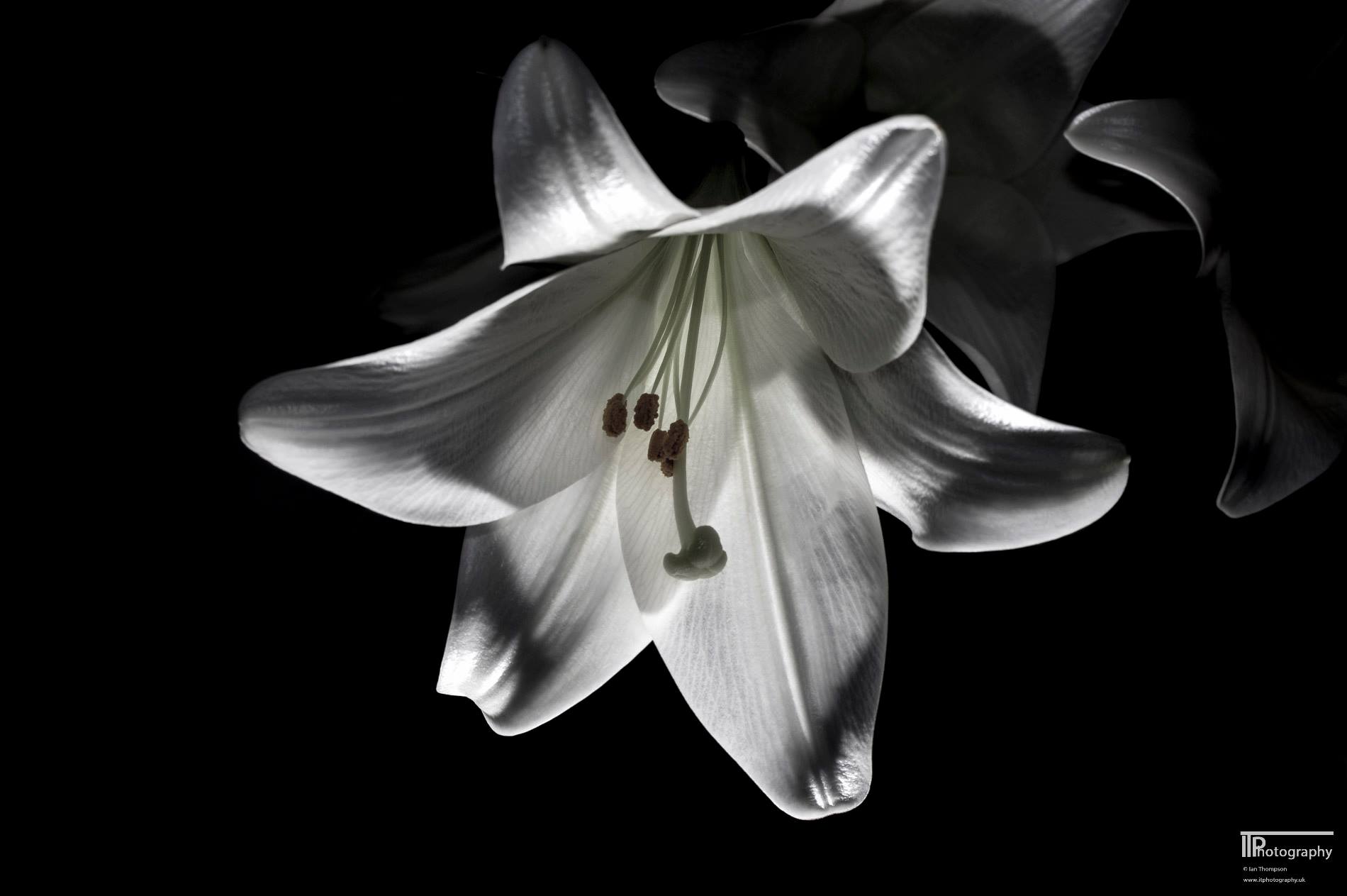 508154188_9947573702030732_2590611716694825873_n