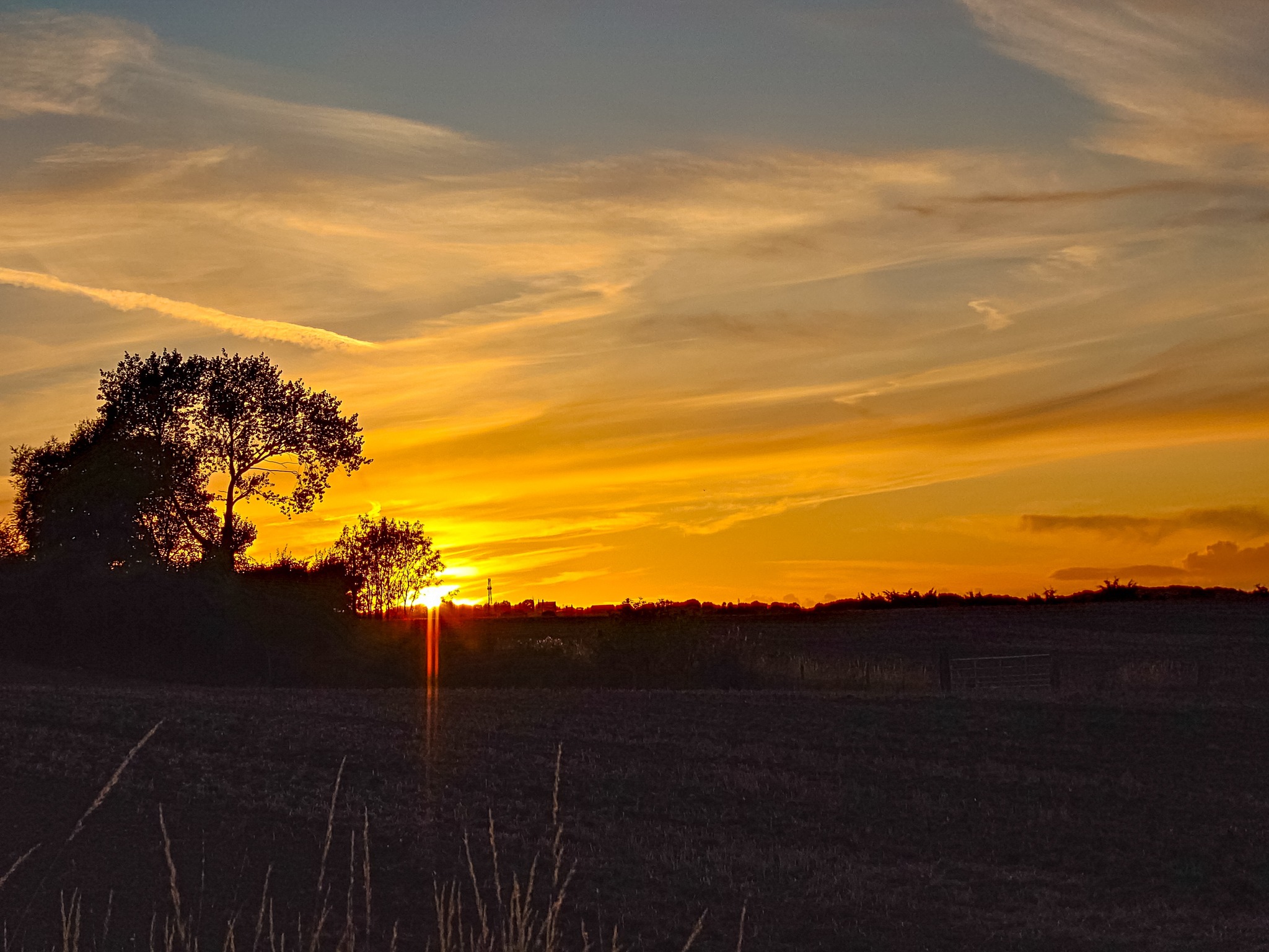 515438897_1648844822969499_6608687529304643813_n