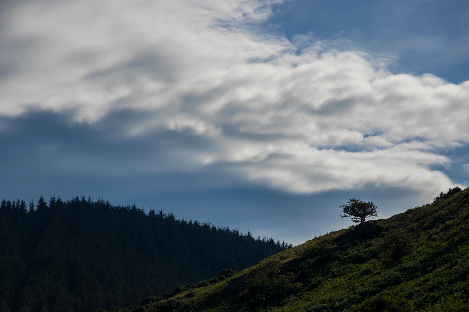 515939597_10233511327837949_1987882786099378038_n