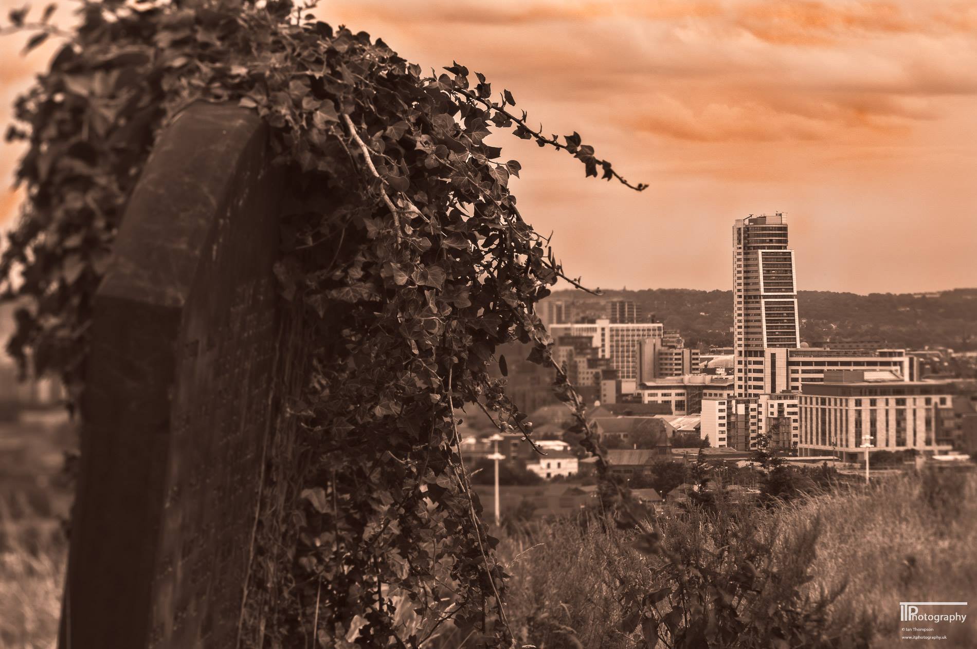 516571050_10233551457961177_4934297800137614347_n