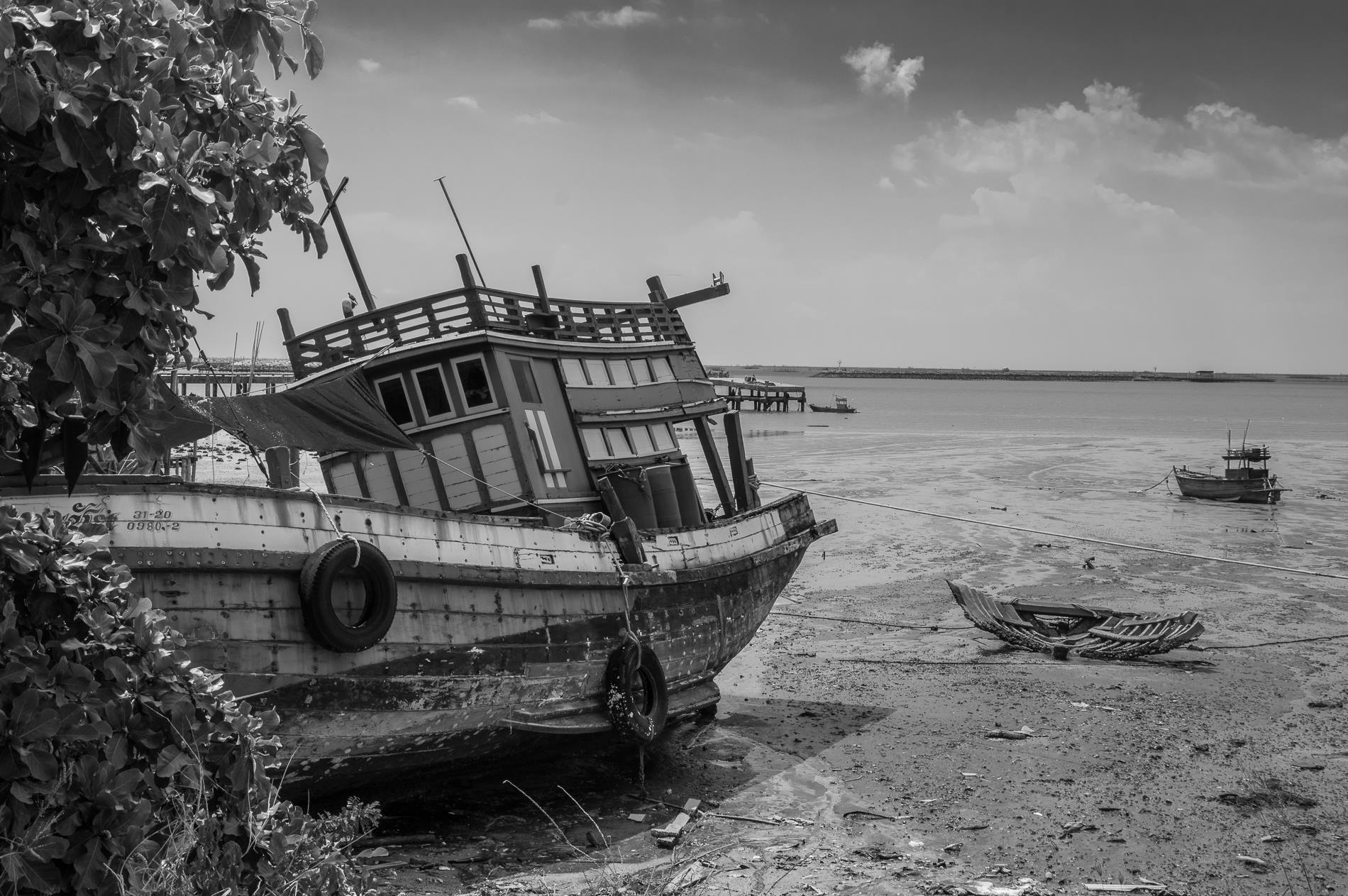 516871801_10233639843690765_2954807493551977778_n