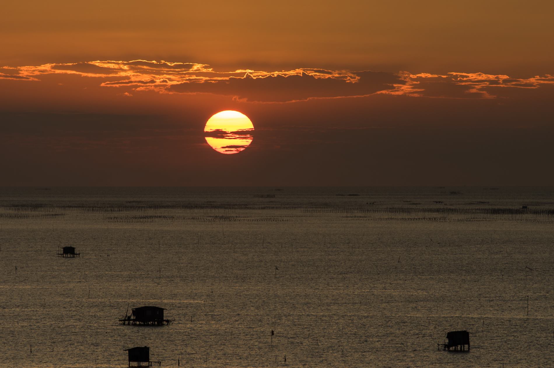 518448854_10233637845680816_1317848477598185217_n