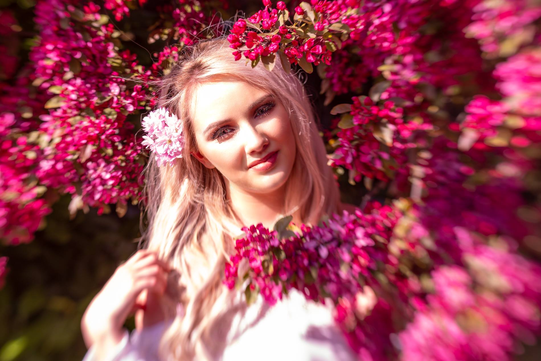 57364829_2161670593954454_2041695816065744896_n