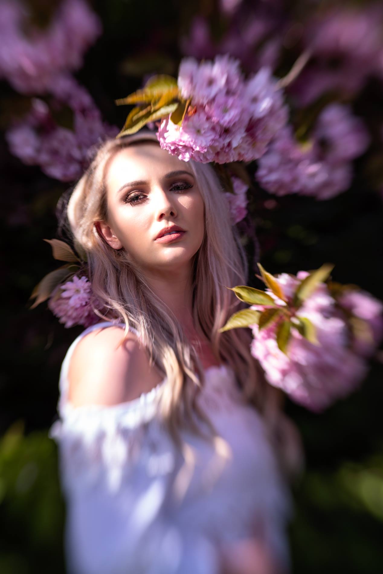 57726548_2161667153954798_8917234507526963200_n