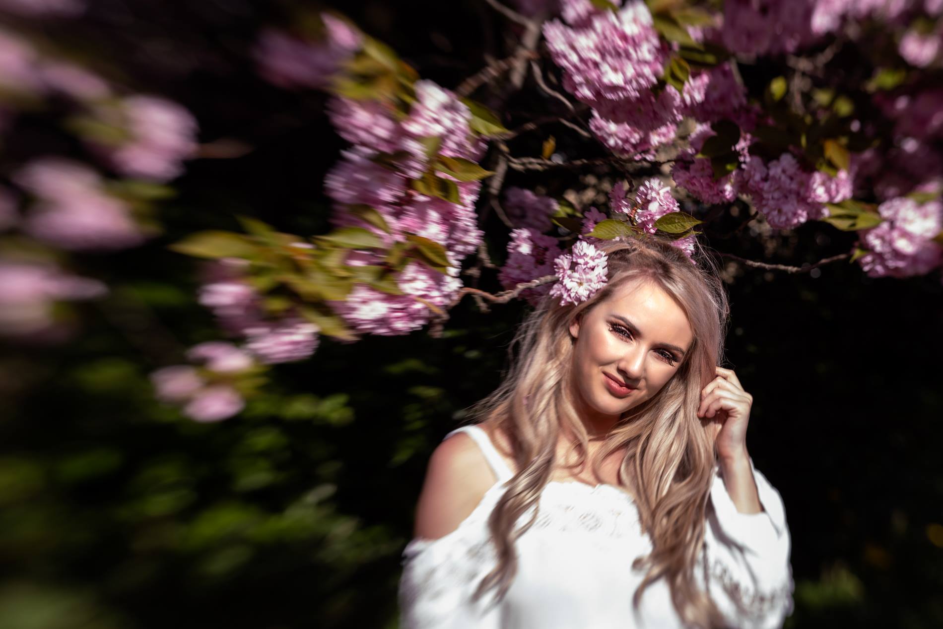 58571126_2175579239230256_1784824735603884032_n