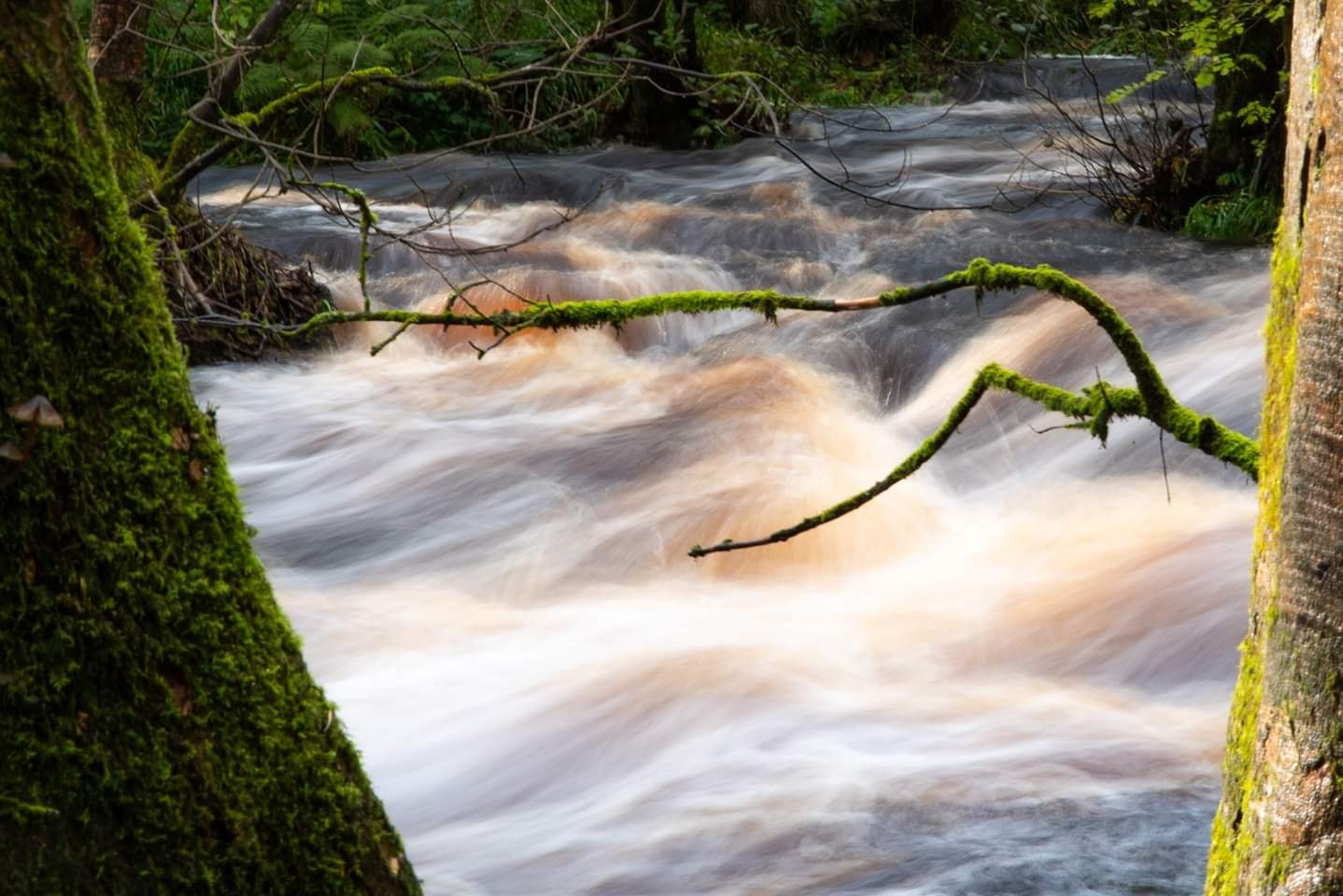 72468713_10218329184173846_65467576607571968_n